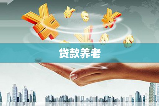 柳营贷款养老
