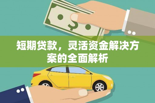 柳营短期贷款，灵活资金解决方案的全面解析