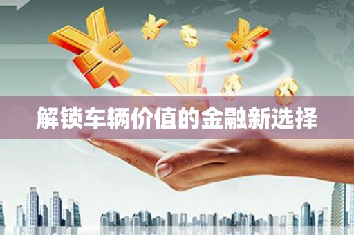 柳营解锁车辆价值的金融新选择