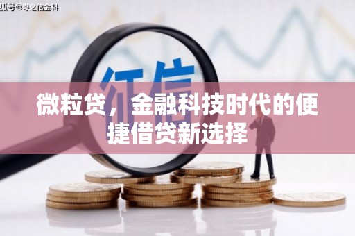 柳营微粒贷，金融科技时代的便捷借贷新选择