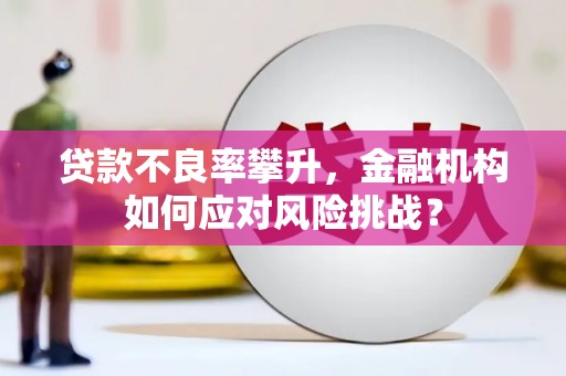柳营贷款不良率攀升，金融机构如何应对风险挑战？