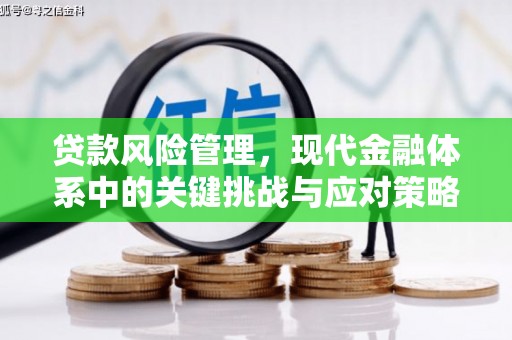 柳营贷款风险管理，现代金融体系中的关键挑战与应对策略