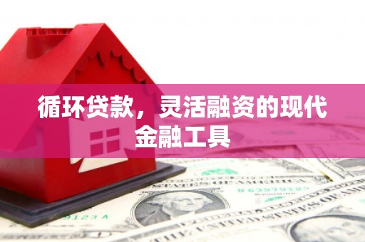 柳营循环贷款，灵活融资的现代金融工具