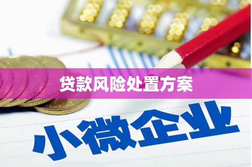 柳营贷款风险处置方案