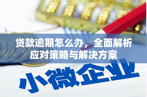 柳营贷款逾期怎么办，全面解析应对策略与解决方案