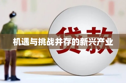 柳营机遇与挑战并存的新兴产业