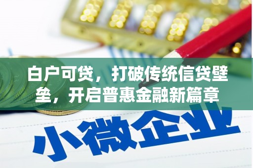 柳营白户可贷，打破传统信贷壁垒，开启普惠金融新篇章