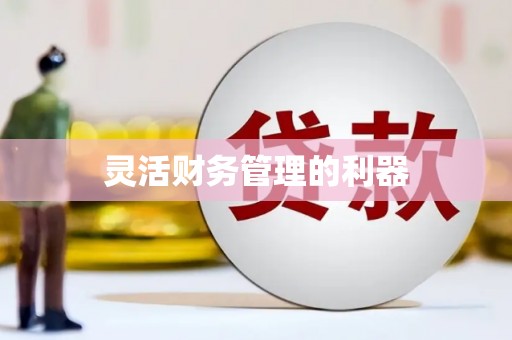 柳营灵活财务管理的利器