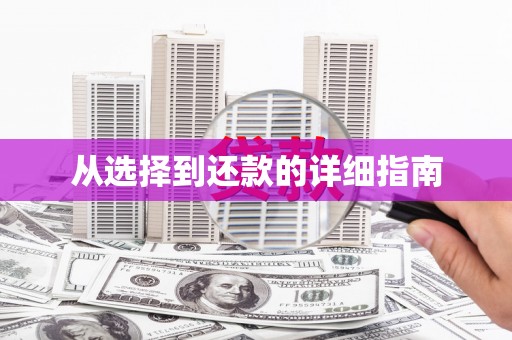 柳营从选择到还款的详细指南
