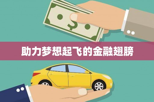 柳营助力梦想起飞的金融翅膀