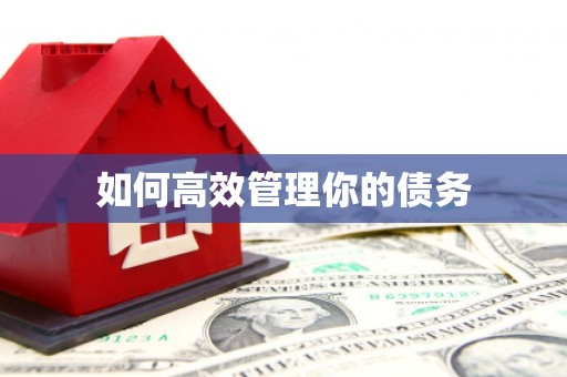 柳营如何高效管理你的债务