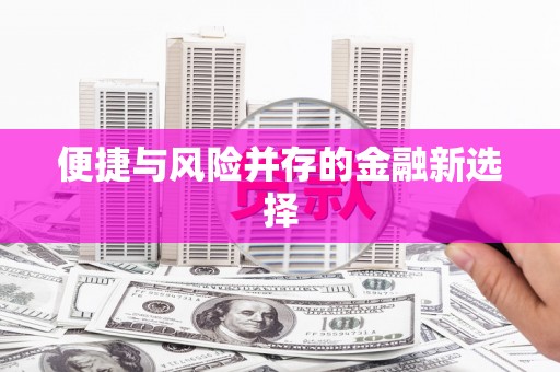 柳营便捷与风险并存的金融新选择