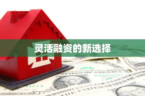 柳营灵活融资的新选择