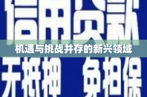 柳营机遇与挑战并存的新兴领域