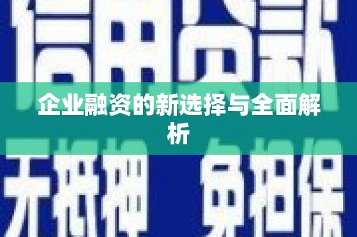 柳营企业融资的新选择与全面解析