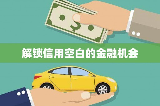 柳营解锁信用空白的金融机会