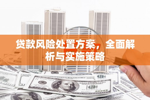 柳营贷款风险处置方案，全面解析与实施策略