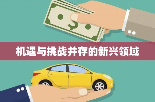 柳营机遇与挑战并存的新兴领域