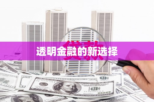 柳营透明金融的新选择
