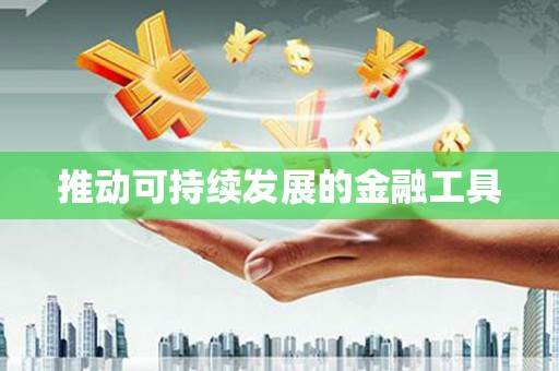 柳营推动可持续发展的金融工具