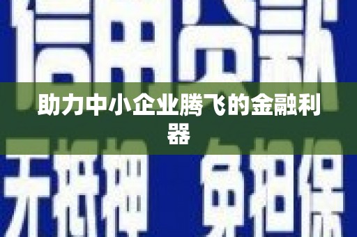 柳营助力中小企业腾飞的金融利器