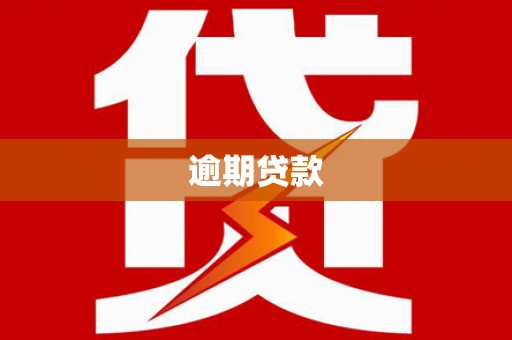 柳营逾期贷款