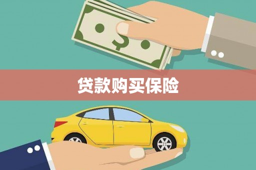 柳营贷款购买保险