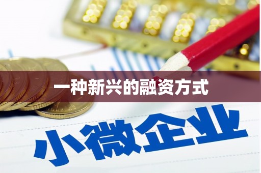 柳营一种新兴的融资方式