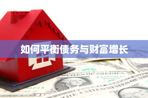 柳营如何平衡债务与财富增长