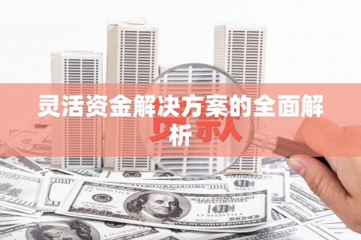 柳营灵活资金解决方案的全面解析