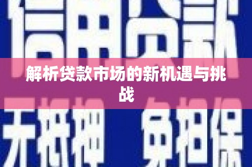 柳营解析贷款市场的新机遇与挑战