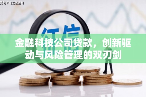 柳营金融科技公司贷款，创新驱动与风险管理的双刃剑