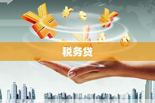 柳营税务贷