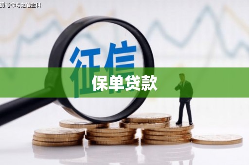 柳营保单贷款